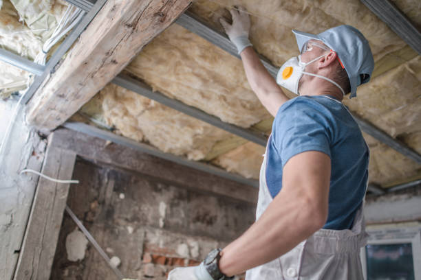 Types of Insulation We Offer in High Point, FL