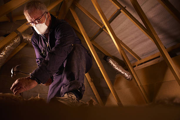 Best DIY Insulation Kits and Guidance in High Point, FL